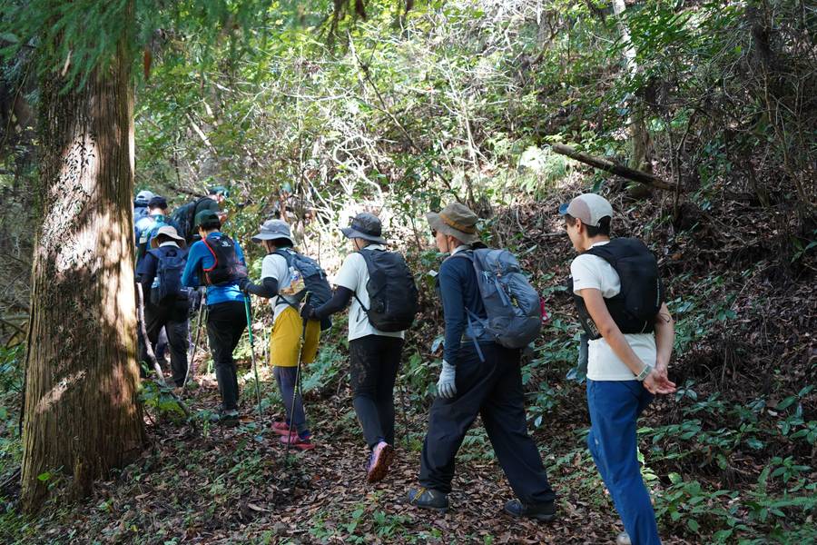 山道を歩くツアー参加者