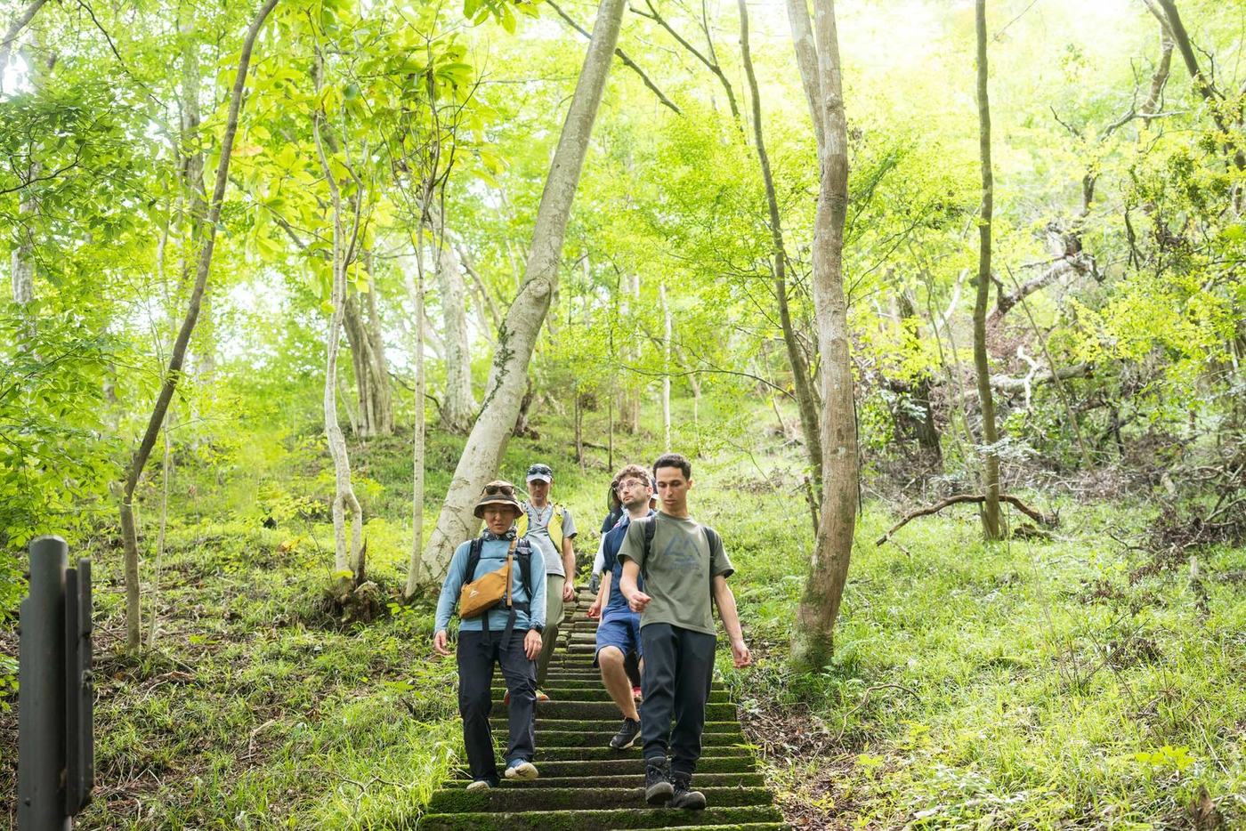 袋田の森の階段を下るハイカー