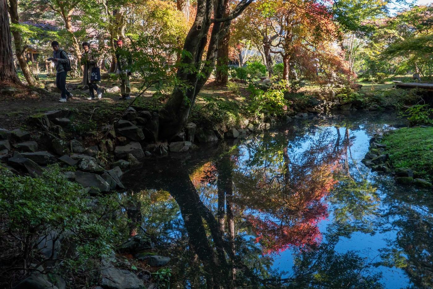 紅葉が水面に映る養浩園